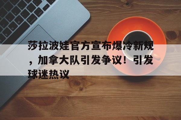  莎拉波娃现在 